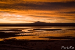 Salar en roigs