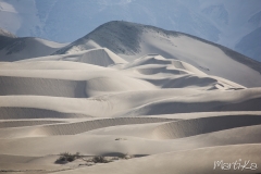 Dunes i mes dunes