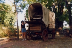 1995 - Pipe Springs
